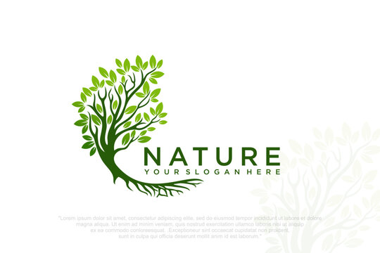 Root Of The Tree logo . icon silhouette of a tree . Vector illustration