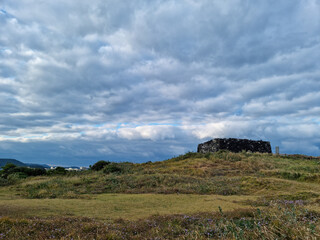 
This is the scenery of Jeju’s autumn meadow.