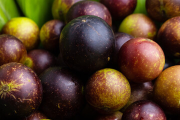 camu camu fruits, Myrciaria dubia, exotic fruit from the Amazon that grows on the banks of rivers,...