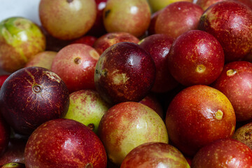 camu camu fruits, Myrciaria dubia, exotic fruit from the Amazon that grows on the banks of rivers, it is highly appreciated for its flavor, it is considered the fruit with the most vitamin C