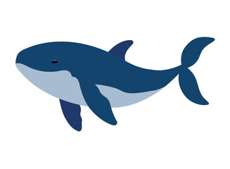 humpback sealife pacific ocean