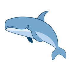 humpback sealife design