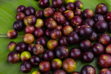 camu camu fruits, Myrciaria dubia, exotic fruit from the Amazon that grows on the banks of rivers, it is highly appreciated for its flavor, it is considered the fruit with the most vitamin C