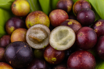 camu camu fruits, Myrciaria dubia, exotic fruit from the Amazon that grows on the banks of rivers,...