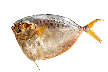 Selene salt water smoked fish on a white background