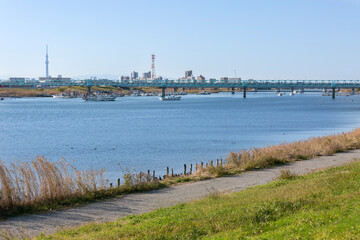 江戸川（千葉県市川市田尻）