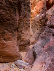 The Red Sandstone Walls of Red Hollow Slot Canyon, Orderville, Utah, USA