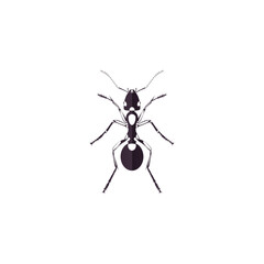 Ant Logo vector illustration template design