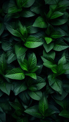 Green leaves pattern illustration.