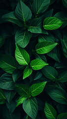 Green leaves pattern design decoration - obrazy, fototapety, plakaty