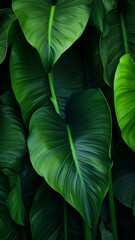 More beautiful exotic tropical leaves isolated leaf print wallpaper