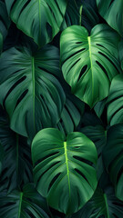 More beautiful exotic tropical leaves isolated leaf decoration