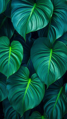 More beautiful exotic tropical leaves isolated leaf design