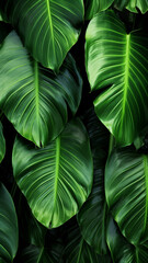 More beautiful exotic tropical leaves isolated leaf print