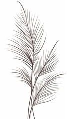 One line drawing of tropical palm leaves