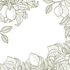 A border of lemon twigs and lemons. A composition of citrus fruits in a graphic style. Vector illustration isolated on a white background.