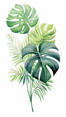 Fototapeta na wymiar Watercolor vector banner tropical leaves design background