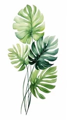 Tapeten Monstera Watercolor vector green banner tropical leaves graphic decoration