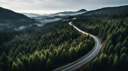 A view from above of a road that winds through a pine forest