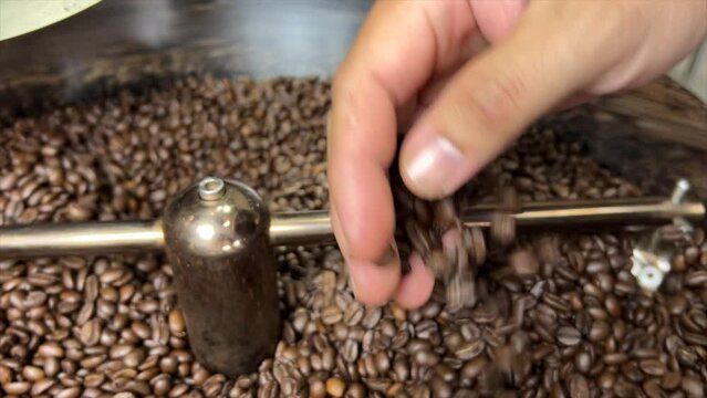 Freshly roasted coffee beans in the state-of-the-art roasting machine at our premium roastery facility, ensuring unparalleled quality and aroma for your perfect cup of coffee. Immerse yourself in the.