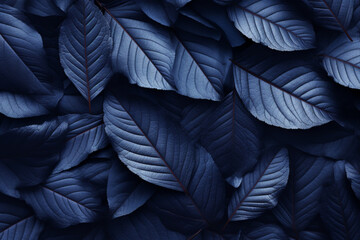 blue feather background