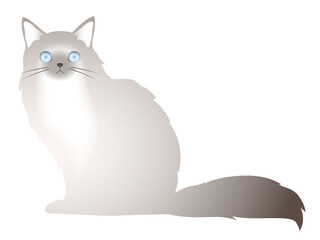 正面を向いて座っている青い目のシャム系の可愛い子猫のイラスト素材