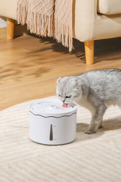 Pet cat is using pet water dispenser, image of drinking water, closeup, indoor shot, sofa and wooden floor