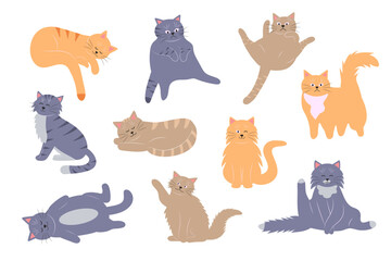 Fat funny cats set. Cartoon cat characters in different poses. Cute pet collection. - obrazy, fototapety, plakaty