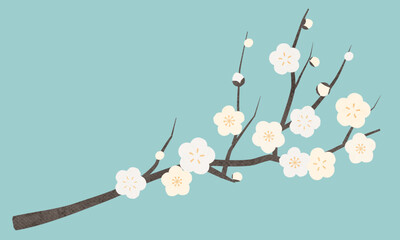 白い梅の花(白梅)のベクターイラスト - obrazy, fototapety, plakaty