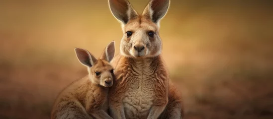 Selbstklebende Fototapeten Mother kangaroo carrying her baby in its pouch. © 2rogan