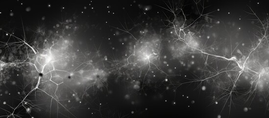 Astrocytes, found in grey matter, have equal-length processes and are marked by blood vessels in black. Silver chromate Golgi technique.