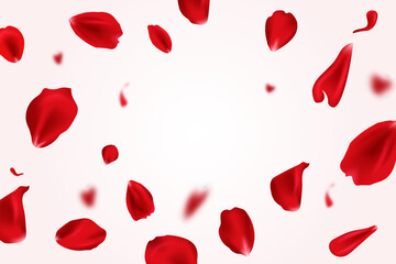 Red rose petals. Flying rose vector illustration. Love card design