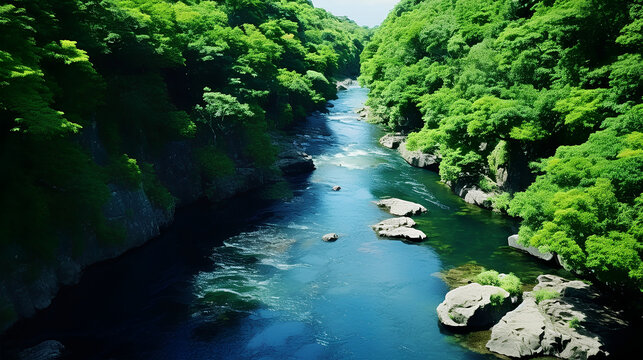 Lush tropical rainforest with ravine, Yonaguni Island of Yaeyama Islands, Okinawa, Japan