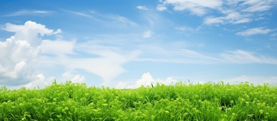 Verdant turf and overhead sky.