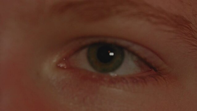 Macro view of rolled backwards eyeball turning back and looking into camera