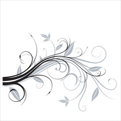 floral ornament vector with white background