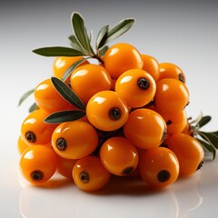 Sea Buckthorn Fresh Ripe Berry Isolated, White Background, For Design And Printing