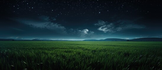 moonlit young wheat field at night - Powered by Adobe
