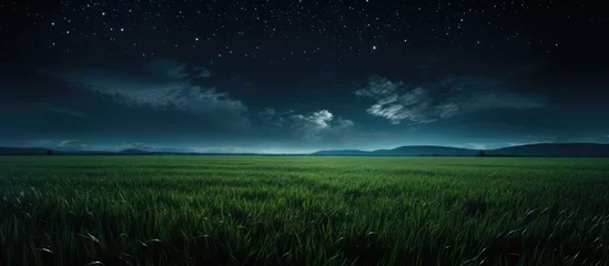 Papier Peint photo Prairie, marais moonlit young wheat field at night