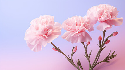 Obraz premium Carnation whispers, pastel harmony and delicate blooms for a serene floral arrangement, beauty and tranquility. Soft-hued carnations in gentle pastels form a graceful and soothing background. Suitabl