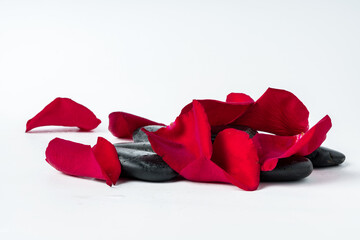 Spa stones and flowers on the white background