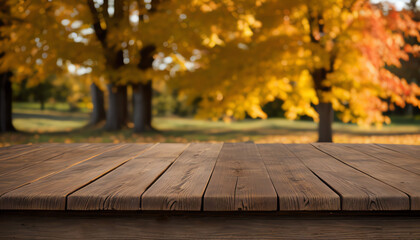 Copy space of empty wooden on the yellow leaves tree and yard beautiful background. in autumn season