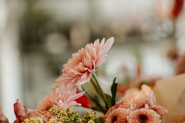 Light pink flowers in bloom at the flower shop
