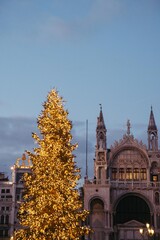 Christmas tree in front of a church in San Marco Square, Venice, Italy