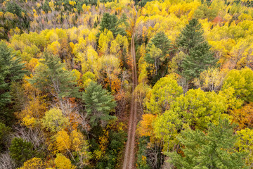 Fototapeta premium Gravel road winds through the fall foliage of the Maine woods