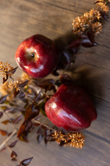 two red apples with a fall plant against a wood background