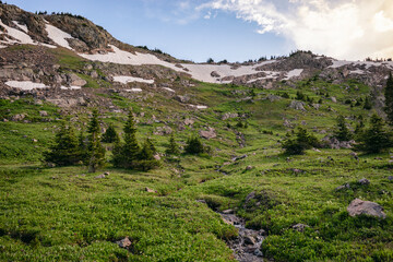 Naklejka premium Tundra landscape in the Eagles Nest Wilderness, Colorado