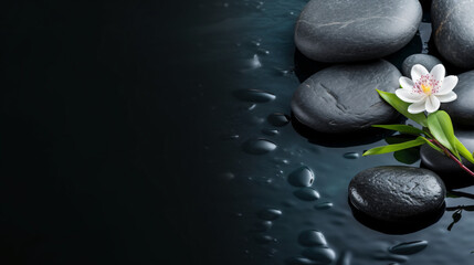 Fototapeta na wymiar Moody spa background with stones and water on dark background