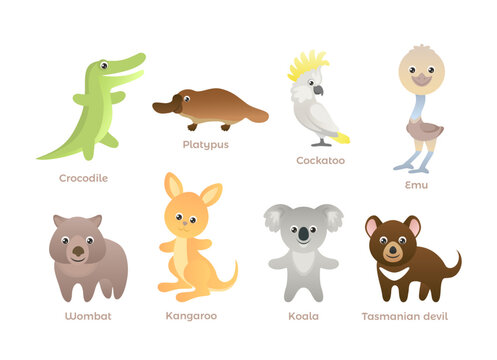 Cute australian animals set. Cartoon funny koala bear, ostrich emu, wombat, tasmanian devil, kangaroo, crocodile and cockatoo parrot isolated on white. Vector children's simple illustration.