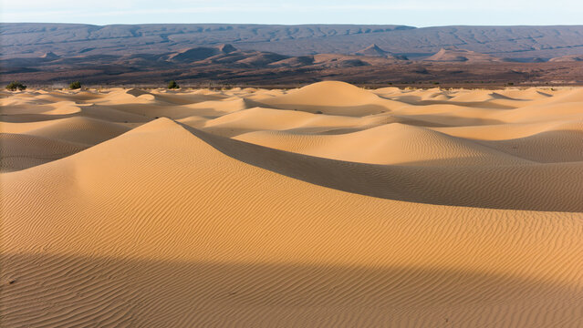 Une photo  semi aérienne d'une dune dans le  désert au Maroc, un jour d' hiver.